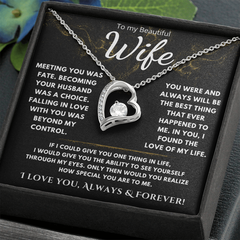 To My Beautiful Wife "Meeting You Was Fate" Necklace