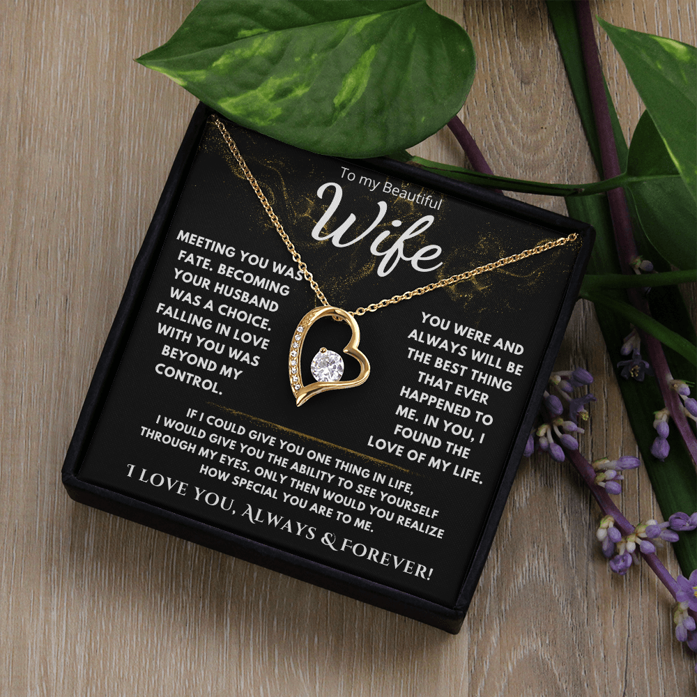 To My Beautiful Wife "Meeting You Was Fate" Necklace