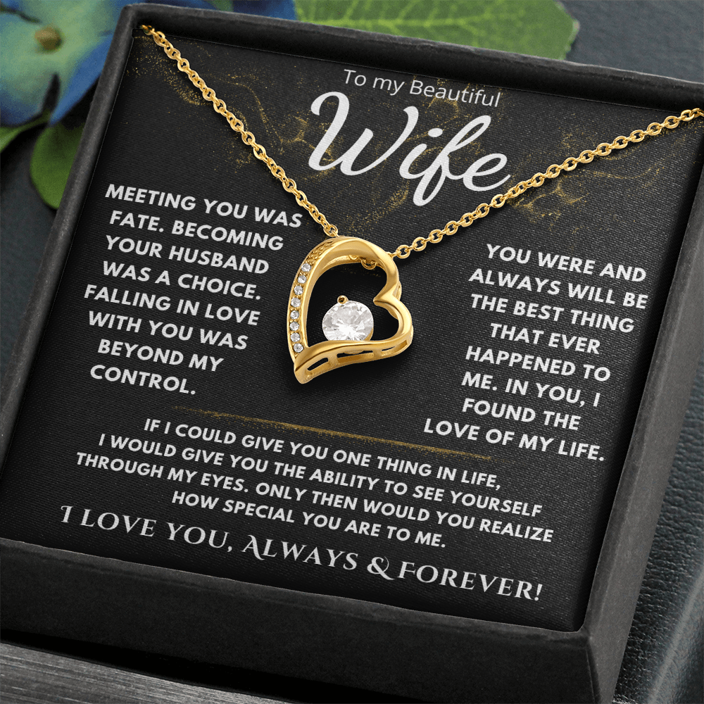 To My Beautiful Wife "Meeting You Was Fate" Necklace