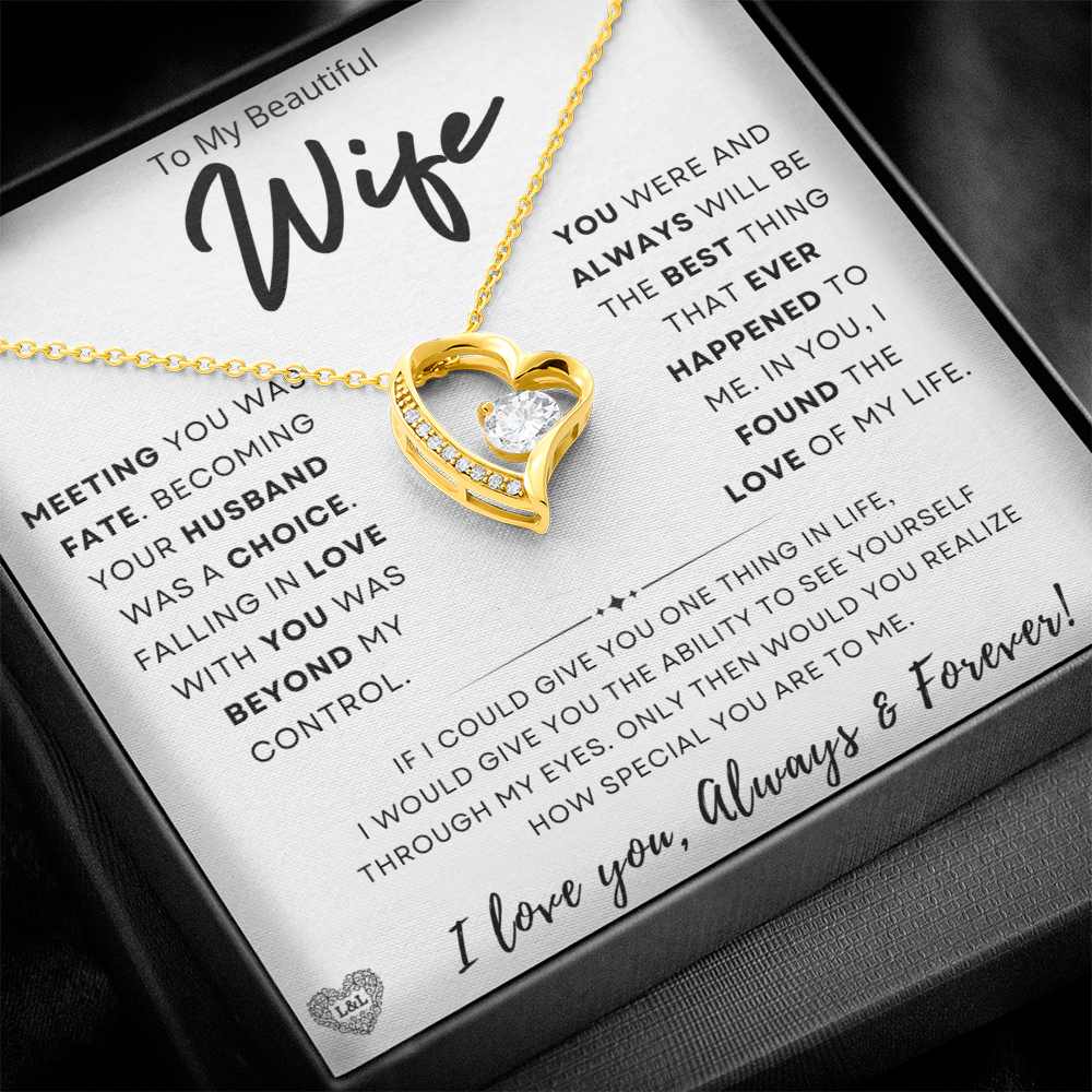Gift for Wife: "Meeting You Was Fate" Necklace